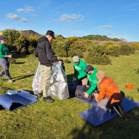 some first aiders treating simulated casualties outdoors on grassland